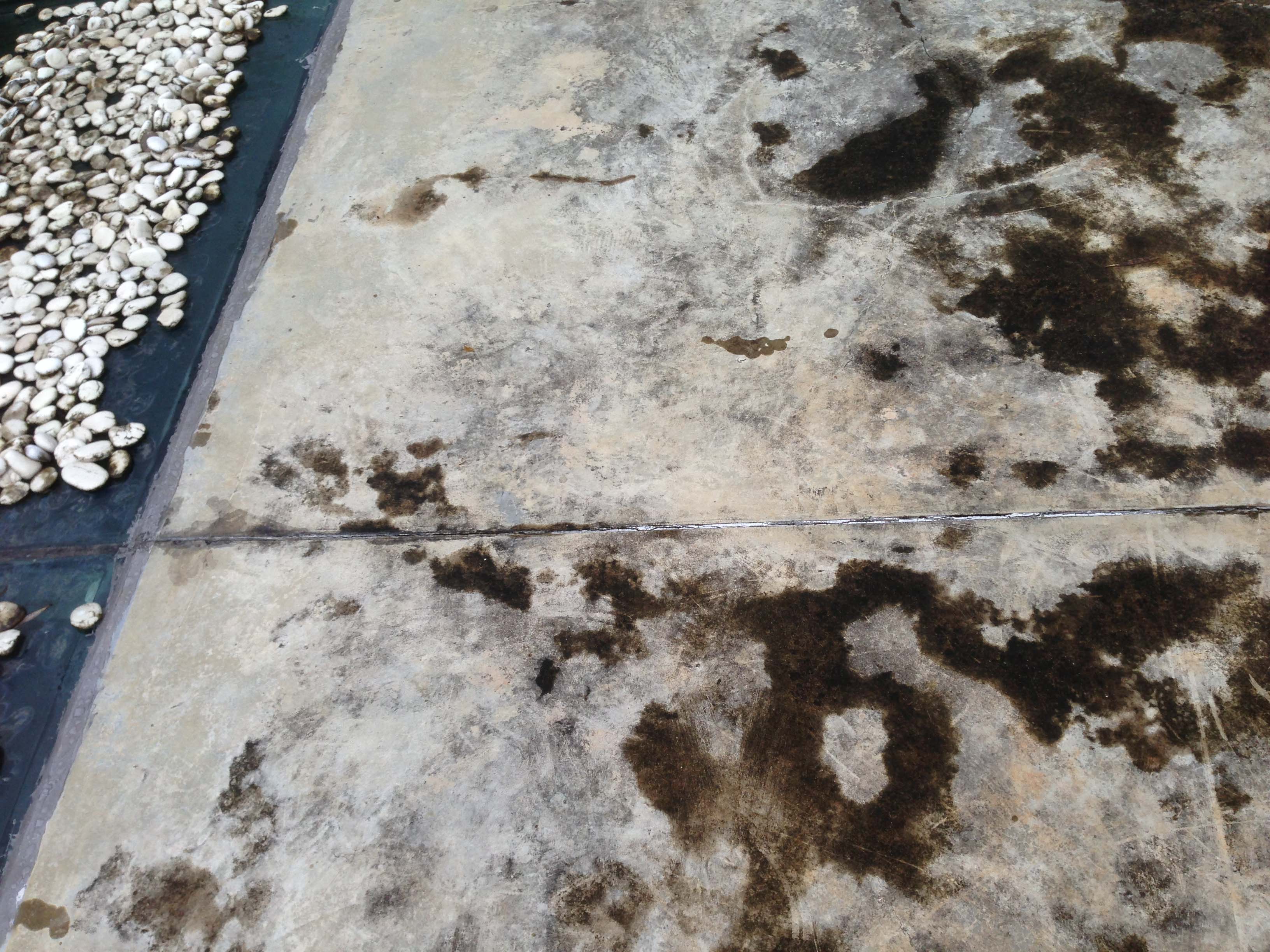 31. flat roof leak. torn waterproof membrane & concrete crack..jpg